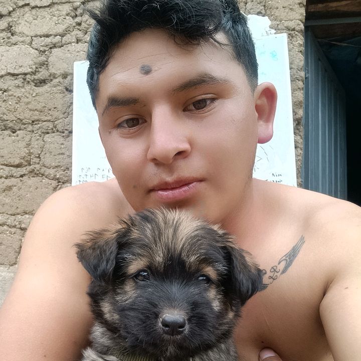 Profile Picture of Robert_Gohan_🌽 (@robertgohan) on Tiktok