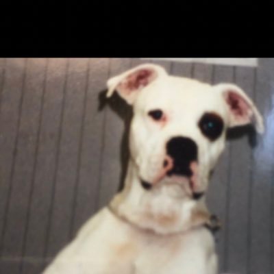 Profile Picture of Dina Simone (@dinasimone3) on Twitter