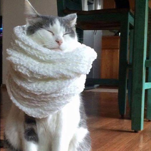 Brianna Lindsey - Poshmark Profile Picture of Brianna Lindsey (@briannabrii) on Poshmark