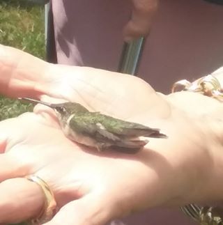 Profile Picture of Eugene Slagley (@eugene.slagley.1) on Facebook