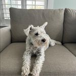 Profile Picture of Christine Driscoll (@driscollrussochris) on Instagram