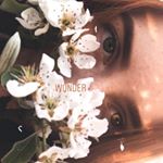 Profile Picture of Kate ∆ (@_kate_fox) on Instagram
