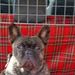 Profile Picture of Gordon Bateman (@gordon54gb) on Pinterest