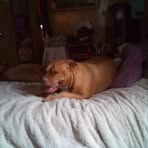 Profile Picture of Lisa Akers (@lisa.akers.577220) on Facebook