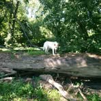 Profile Picture of Stephen Shive (@stephen.shive.2025) on Facebook