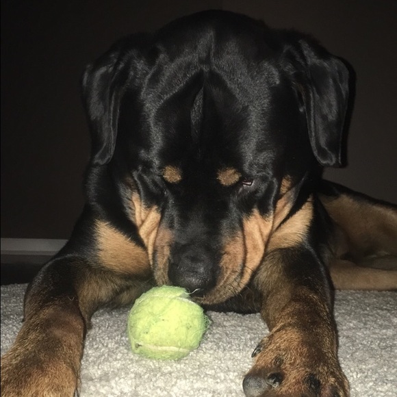 Profile Picture of Alivia Schoneman (@aliviaschoneman) on Poshmark