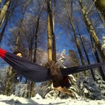 Profile Picture of Andrea Davorić (@andrea.davoric) on Facebook