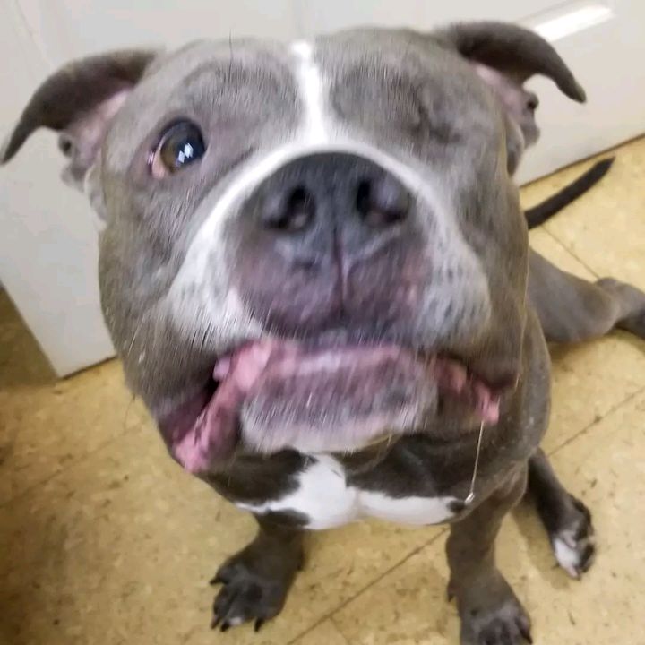 Profile Picture of Peter Marie (@peter_marie) on Tiktok