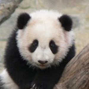 Profile Picture of kylemoon40 (@kylelemoon) on Tiktok