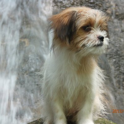 Profile Picture of Edson Ray Tan (@ray_edson) on Twitter