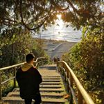 Profile Picture of Brian Chum (@brianchum) on Instagram