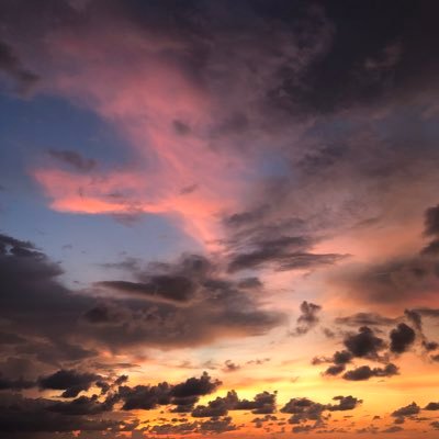 Profile Picture of Matt McGarrity (@mattmcg55) on Twitter