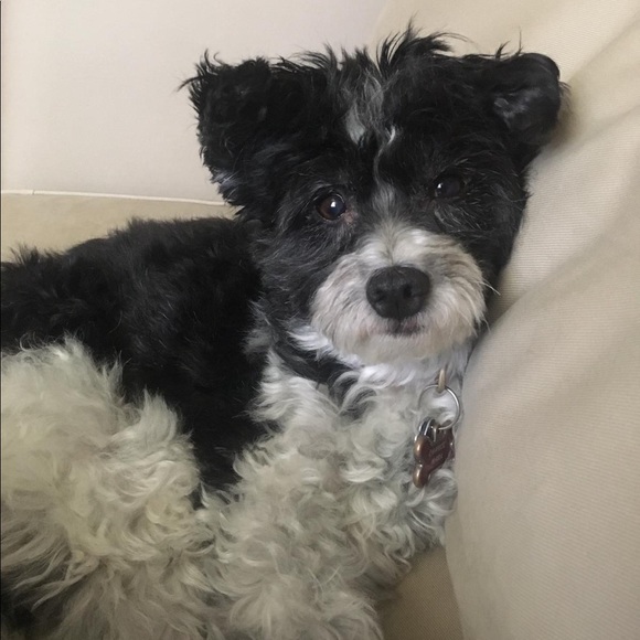 Profile Picture of Donna Mark (@donnamm412) on Poshmark