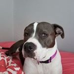 Profile Picture of Angie Fox (@angie.fox.5851) on Instagram