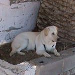 Profile Picture of George Mitsopoulos (@germit_7) on Instagram