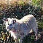 Profile Picture of Linda Holloway (@linda_g.h95) on Instagram