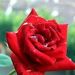 Profile Picture of Vincent Navarra (@vincentnavarra) on Pinterest