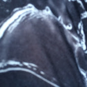 Profile Picture of Sean Monroe (@seanmonroe1559) on Youtube