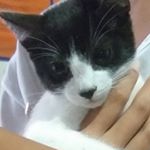 luana🌚 - Instagram Profile Picture of luana🌚 (@linemoore) on Instagram