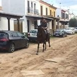 Profile Picture of Carmelo Gutierrez Trujillo (@carmelogutierreztrujillo) on Instagram