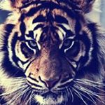 Profile Picture of Chad Marion (@chading_tatum) on Instagram