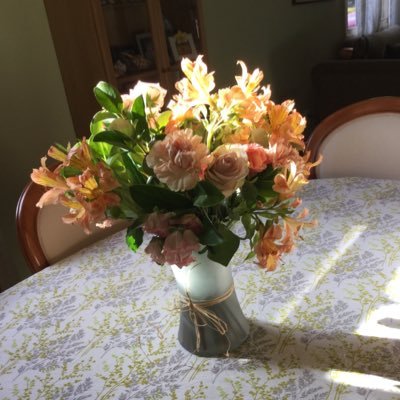 Profile Picture of Janet Kerr (@JanetKe64886102) on Twitter