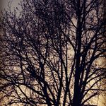 Profile Picture of Billy Calvert gavin Collins (@photography_perfect_picture) on Instagram