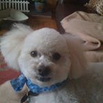 Profile Picture of Robert Hagedorn (@robert.hagedorn) on Instagram