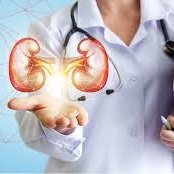 Profile Picture of Nephrologists Meeting 2020 (@Jacob_rhodes12) on Twitter