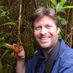 Profile Picture of Steve Nepenthes Fretwell (@wildnepenthes) on Instagram
