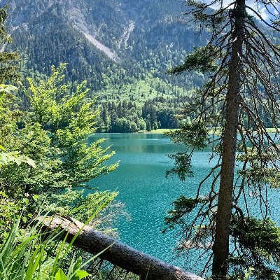 Profile Picture of Nicholas Hadden (@NicholasHadden4) on Twitter