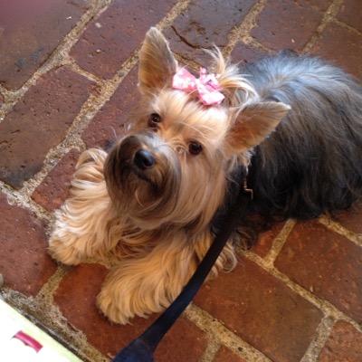 Robert Tedford - Twitter Profile Picture of Robert Tedford (@@TedfordRobert) on Twitter