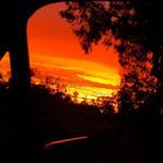 Profile Picture of sean.rude (@sean.rude) on Tiktok