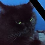 Profile Picture of Jeffrey Leonard (@strawbarryhead) on Instagram