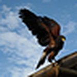 Profile Picture of trevor lloyd (@trevor lloyd2011) on Flickr