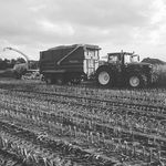 Profile Picture of paul kestermann (@kestermannpaul) on Instagram