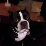 Profile Picture of Marc Pigeon (@marc.pigeon.9216) on Instagram