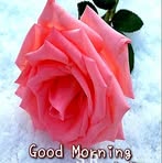 Profile Picture of Parminder Virdi (@parminder.virdi.545) on Facebook