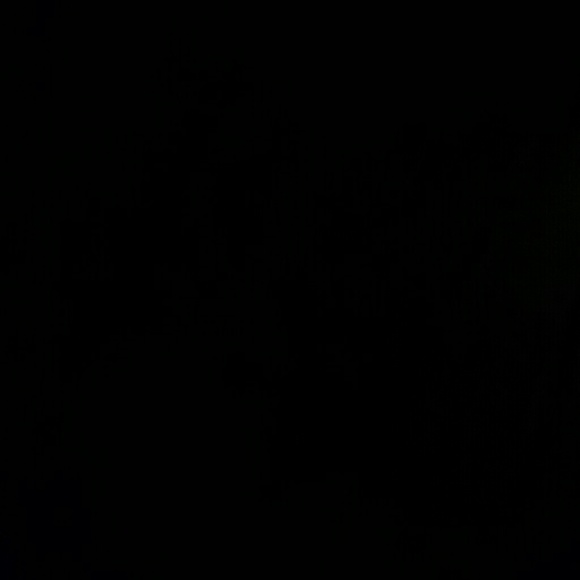 Profile Picture of Micah Ginni (@micahginni) on Poshmark