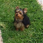 Profile Picture of denise Becerra Olmedo (@denisebecerraolmedo) on Instagram