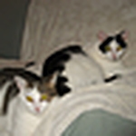 Profile Picture of Joanne Smith (@jtankardsmith) on Flickr