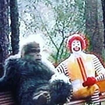 Profile Picture of Travis Hawley (@Lochreed) on Twitter