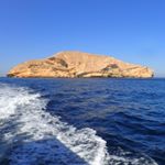 Profile Picture of Peter Hambling (@hamblingpeter) on Instagram