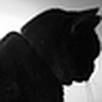 Profile Picture of Jenny Stewart (@Lucy Nuisance) on Flickr