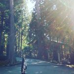 Profile Picture of funkymiki&銀次🐱 (@mickey_cha_117) on Instagram