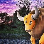 Profile Picture of Joe Fuhrmann (@pogojoebflo) on Instagram