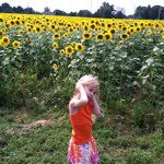 Profile Picture of Shelly Bradley (@shellymbradley) on Instagram