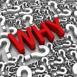 Profile Picture of Jeffrey Shannon (@bcms.champion) on Instagram