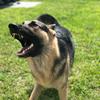 Profile Picture of Max (@_maxgsd) on Tiktok