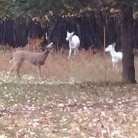 Profile Picture of Kevin Yonkers (@kevin-yonkers-2) on Quora